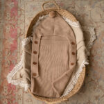 Luxury Pram Cosy