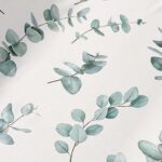 #005 Eucalyptus