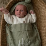 Luxury Pram Cosy (Lined)