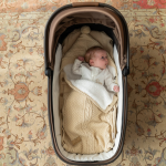 Luxury Pram Cosy (Lined)